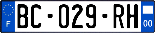 BC-029-RH