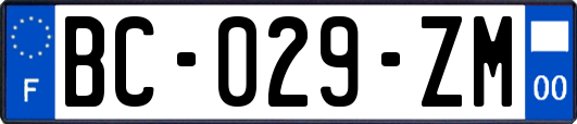 BC-029-ZM