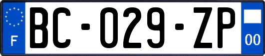 BC-029-ZP