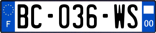 BC-036-WS