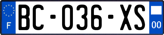 BC-036-XS