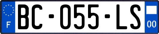 BC-055-LS