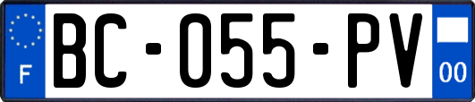 BC-055-PV