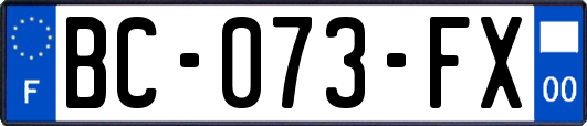 BC-073-FX