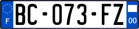 BC-073-FZ