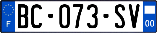 BC-073-SV