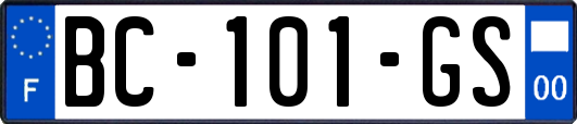 BC-101-GS