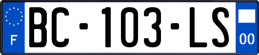 BC-103-LS
