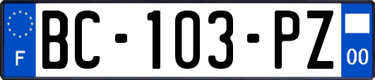 BC-103-PZ