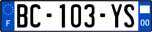 BC-103-YS