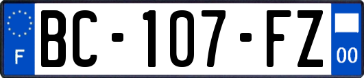 BC-107-FZ