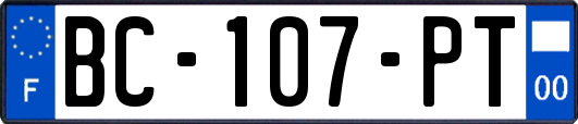 BC-107-PT