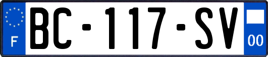 BC-117-SV