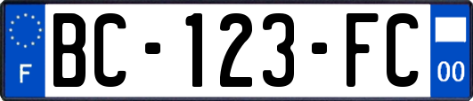 BC-123-FC
