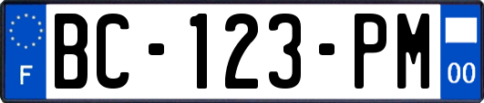 BC-123-PM