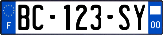 BC-123-SY