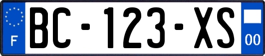 BC-123-XS