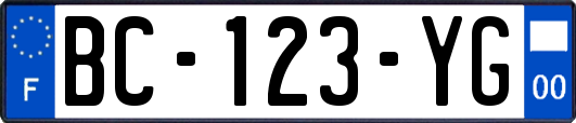 BC-123-YG