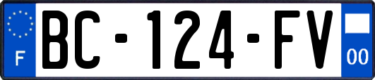 BC-124-FV