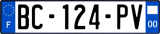 BC-124-PV