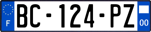 BC-124-PZ