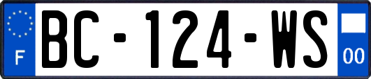 BC-124-WS