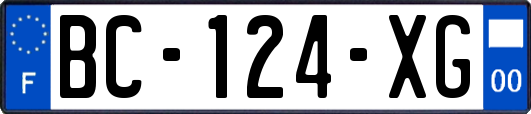 BC-124-XG