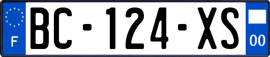 BC-124-XS
