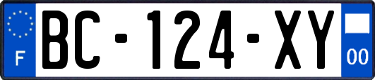 BC-124-XY