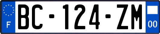 BC-124-ZM