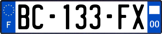 BC-133-FX