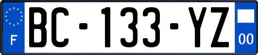 BC-133-YZ