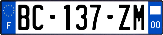 BC-137-ZM