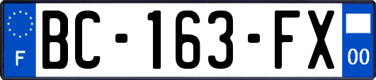 BC-163-FX