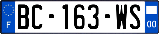 BC-163-WS