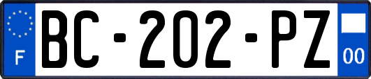 BC-202-PZ