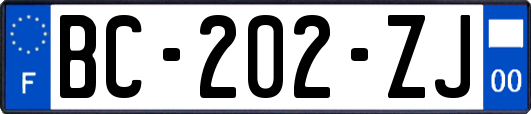 BC-202-ZJ