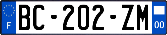 BC-202-ZM