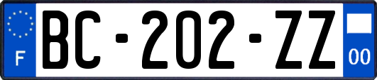 BC-202-ZZ