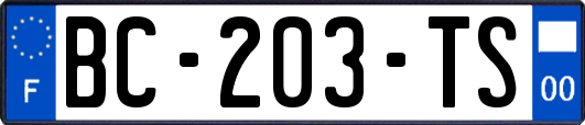 BC-203-TS