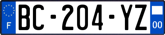 BC-204-YZ