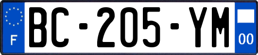 BC-205-YM