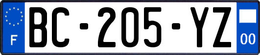 BC-205-YZ