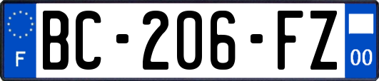 BC-206-FZ
