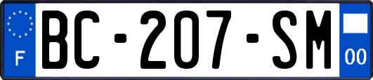 BC-207-SM