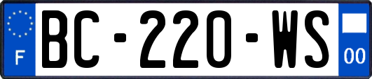 BC-220-WS