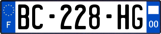 BC-228-HG