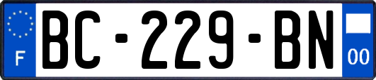 BC-229-BN