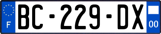 BC-229-DX