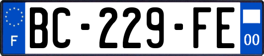 BC-229-FE